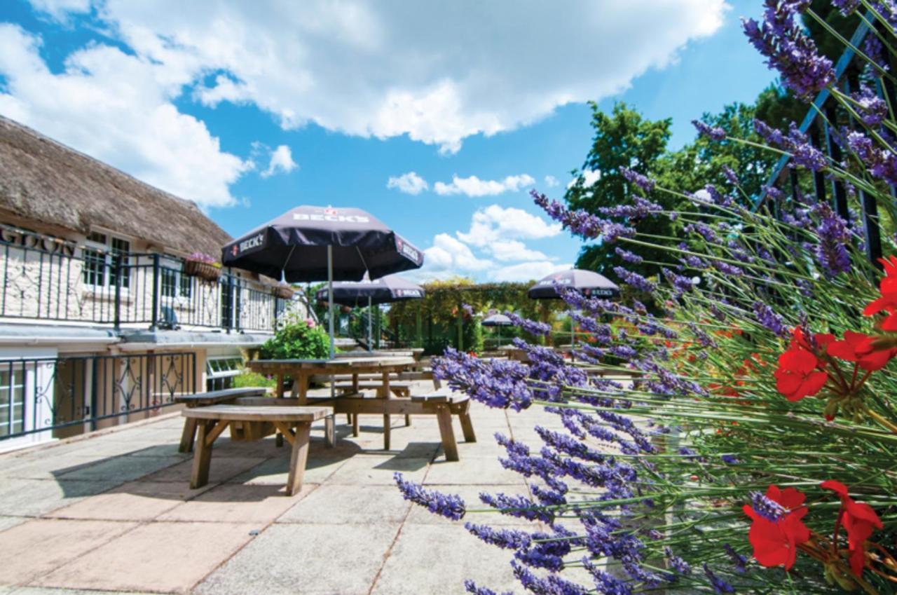 Butterfly Lodge Paignton Esterno foto